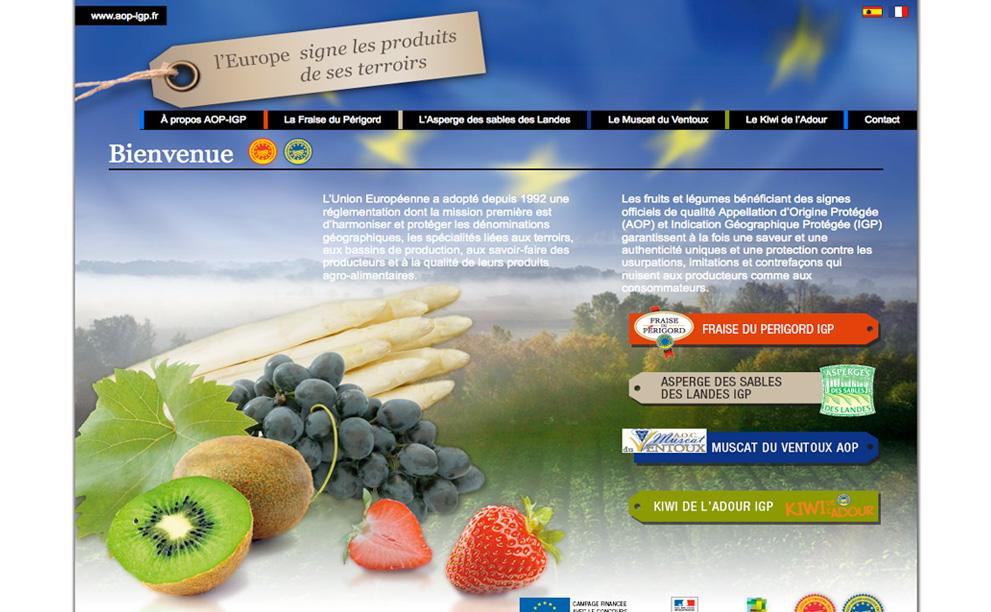 Mission : ergonomie, interactive design. Promotion on line des fruits et légumes